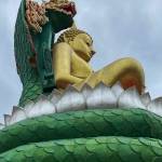 Ubon Ratchathani Profile Picture